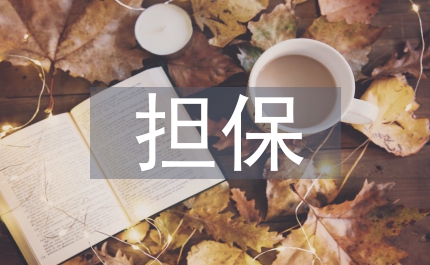 財產保全擔保的范圍