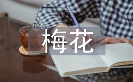 梅花魂語(yǔ)文教學(xué)教案