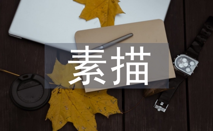 寫實素描教學(xué)改革探析