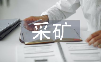 采礦企業(yè)安全整治年終總結(jié)