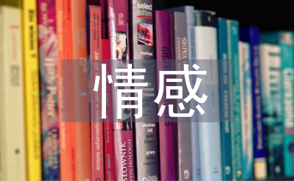 情感營銷時代企業品牌設計研究