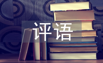 輔導(dǎo)員評語