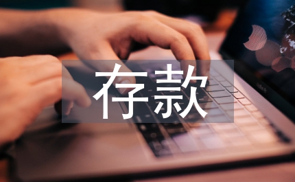 存款保險(xiǎn)建設(shè)試析論文