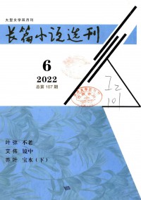 長(zhǎng)篇小說(shuō)選刊雜志