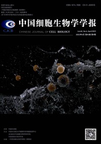 中國細胞生物學學報